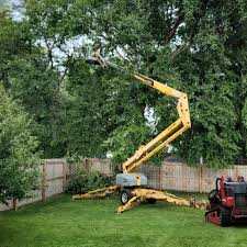 Lawn Grading and Leveling in Bradner, OH